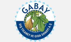 Gabay Fig
